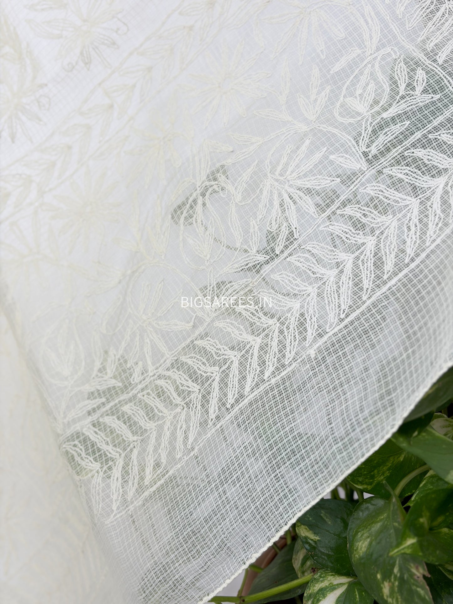 Chikankari Hand-Embroidered Saree | Kota Cotton | Cream