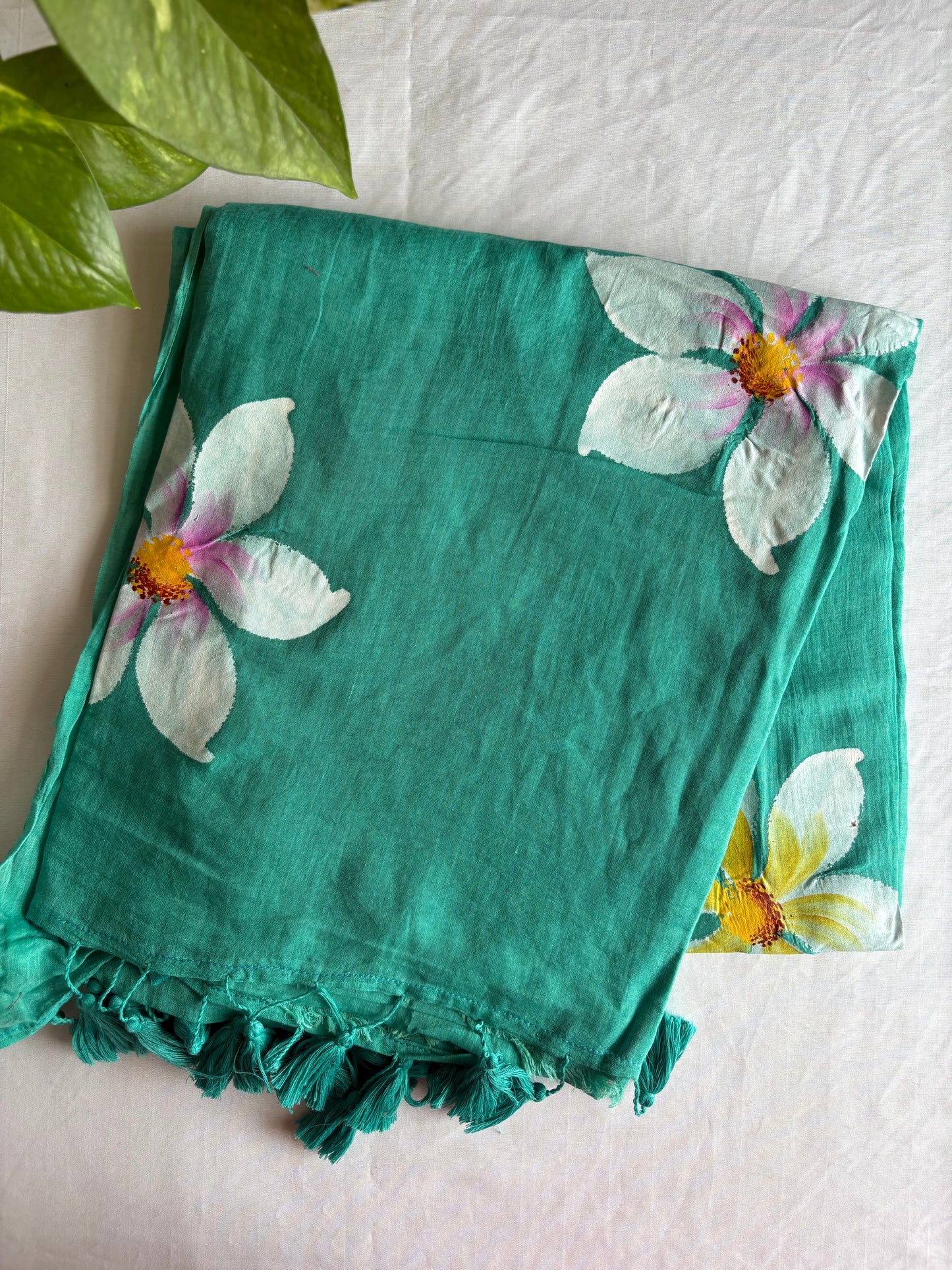 Hand Painted Mul Cotton Saree - Sea Green