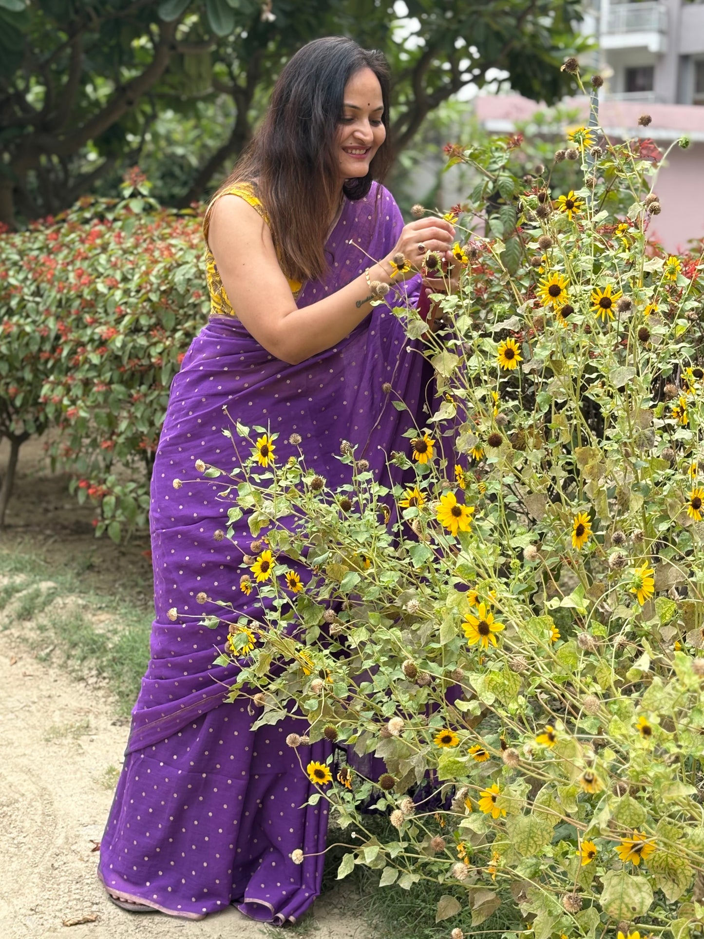 Mul Cotton polka dots Saree - Purple
