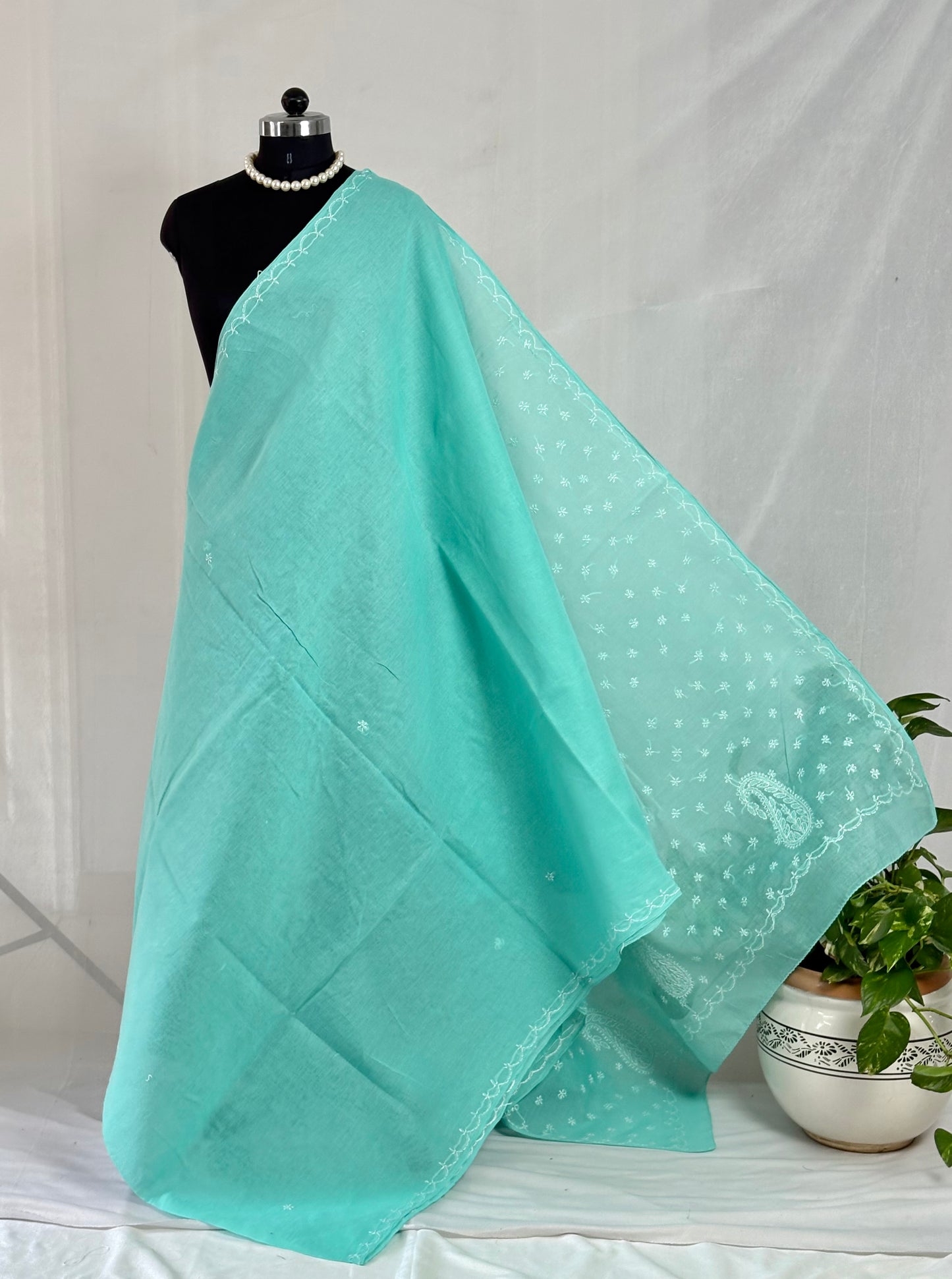 Chikankari Hand-Embroidered Saree | Cotton |