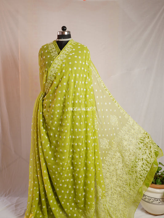 Chikankari Hand Embroidered Saree | Semi Georgette | Green