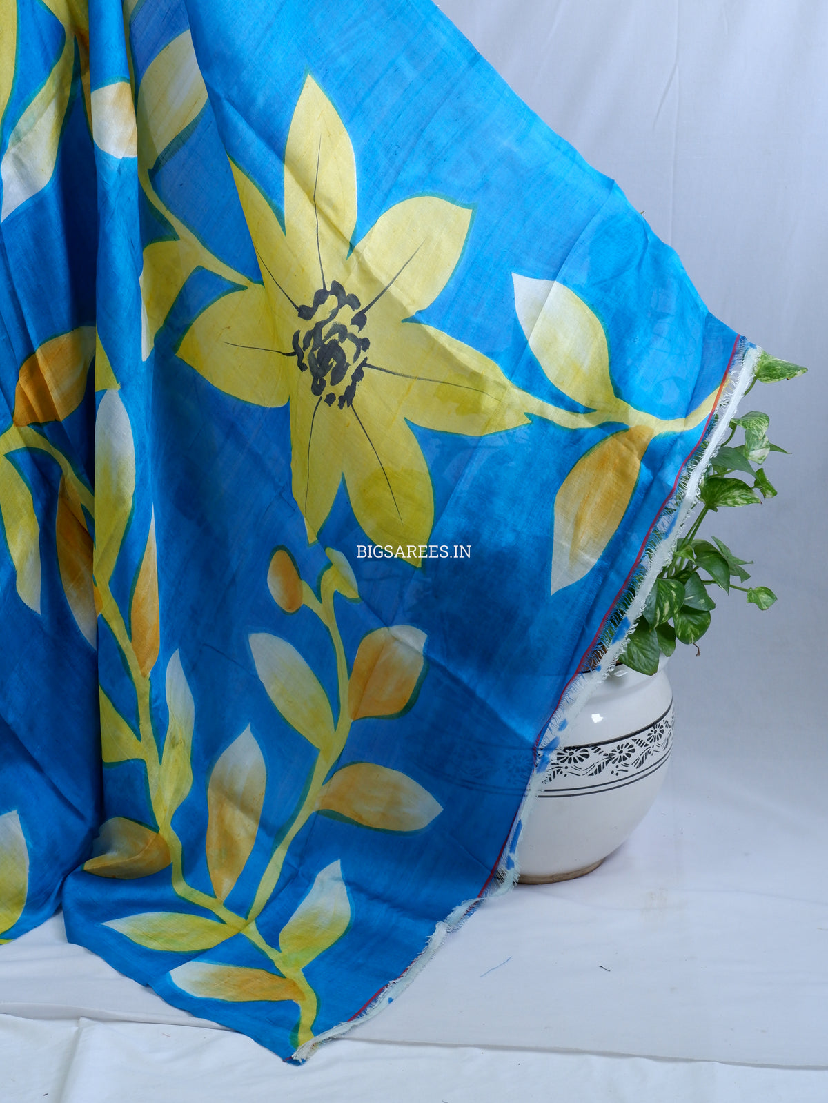 Hand-Painted Bishnupuri Silk Saree | Pure Silk | Silk Mark Certified