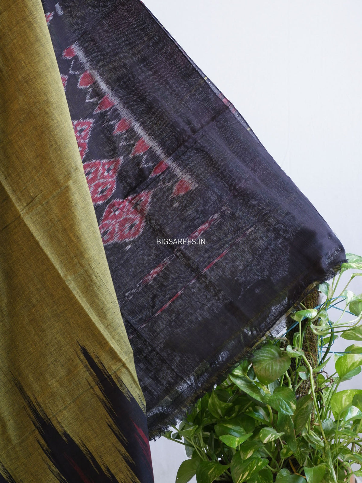 Sambalpuri Ikat Handwoven Saree | Cotton | Light Olive Green