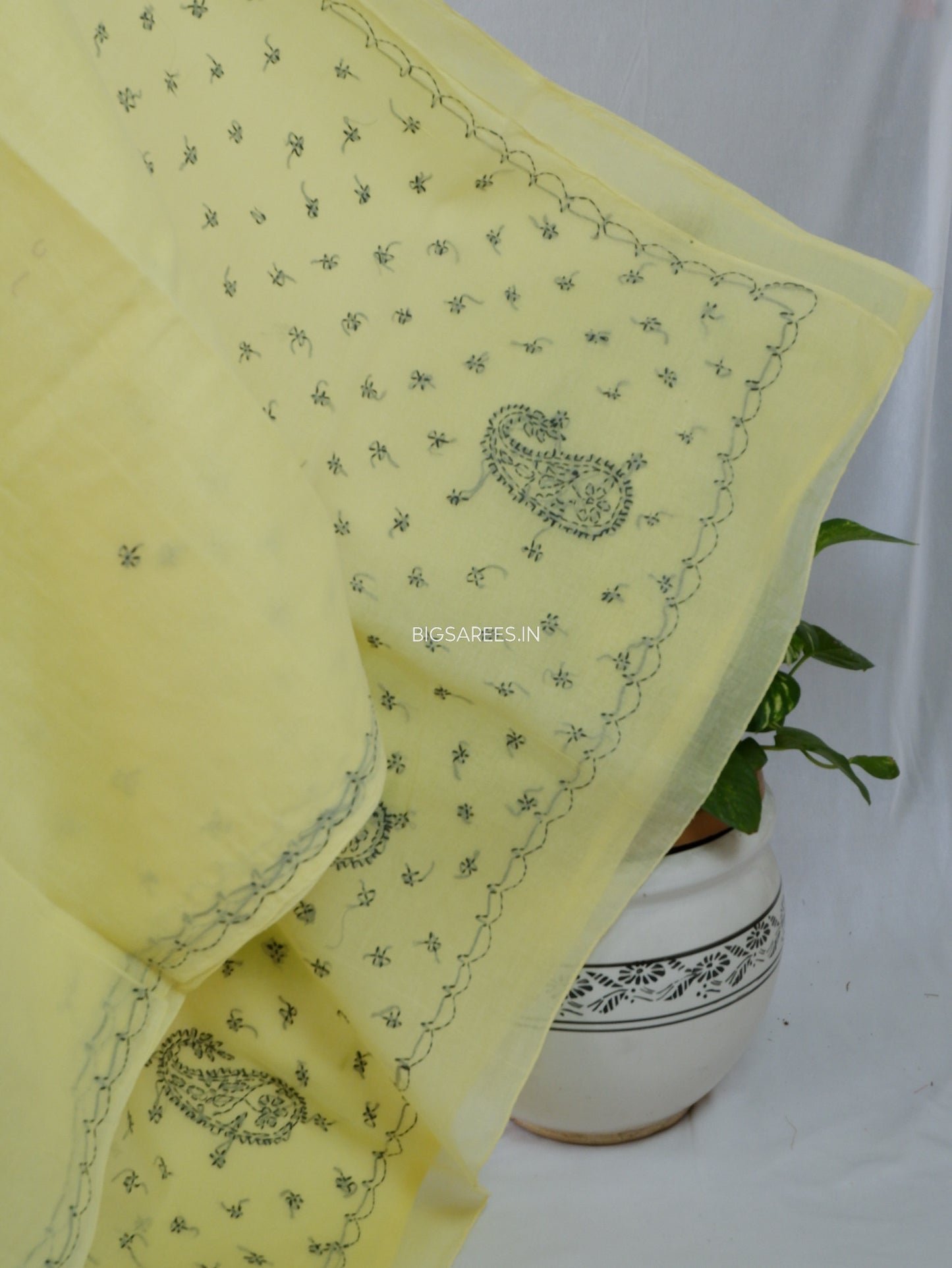 Chikankari Hand-Embroidered Saree | Cotton | Cream