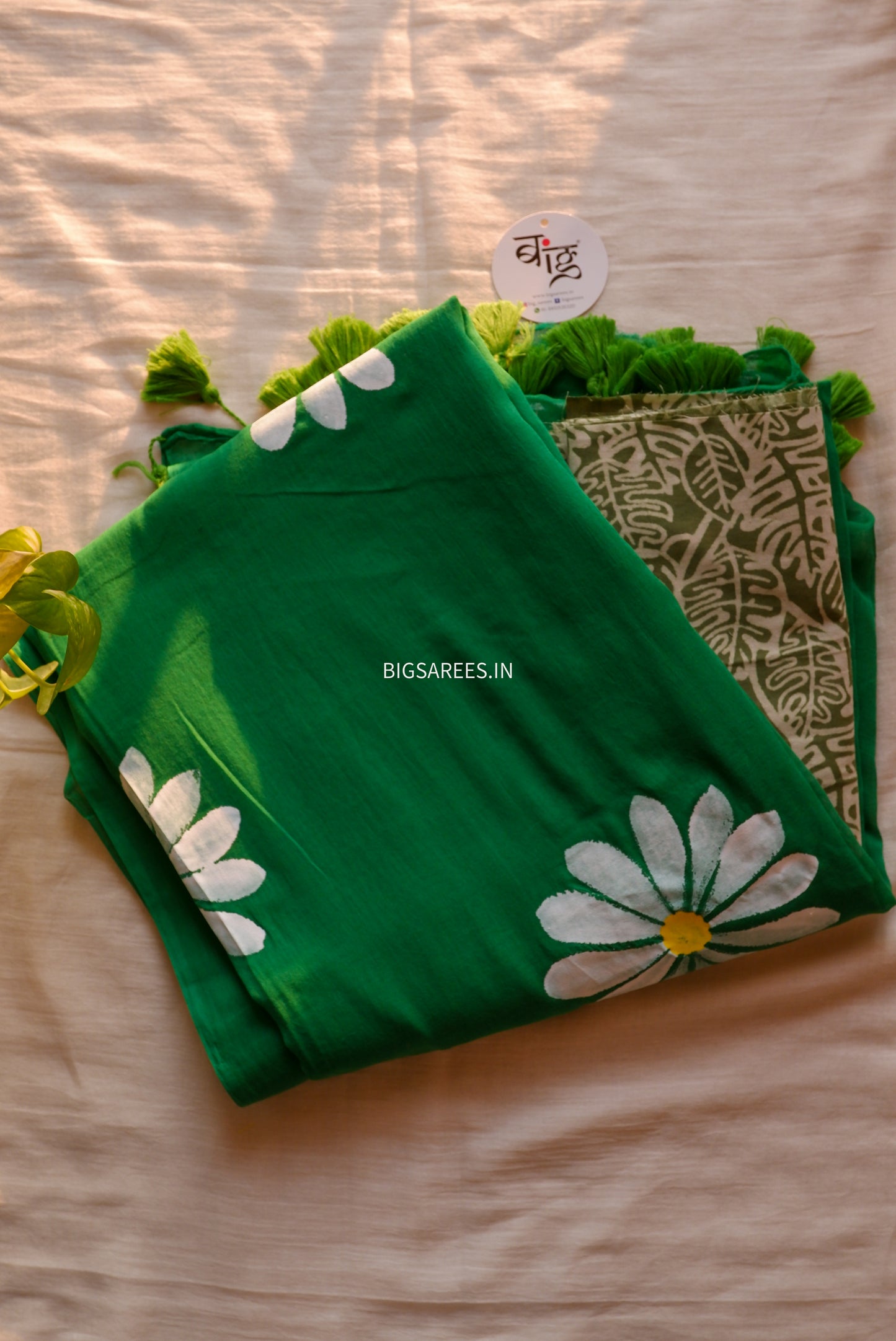 Hand Painted Mul Cotton Saree with Blouse | Green