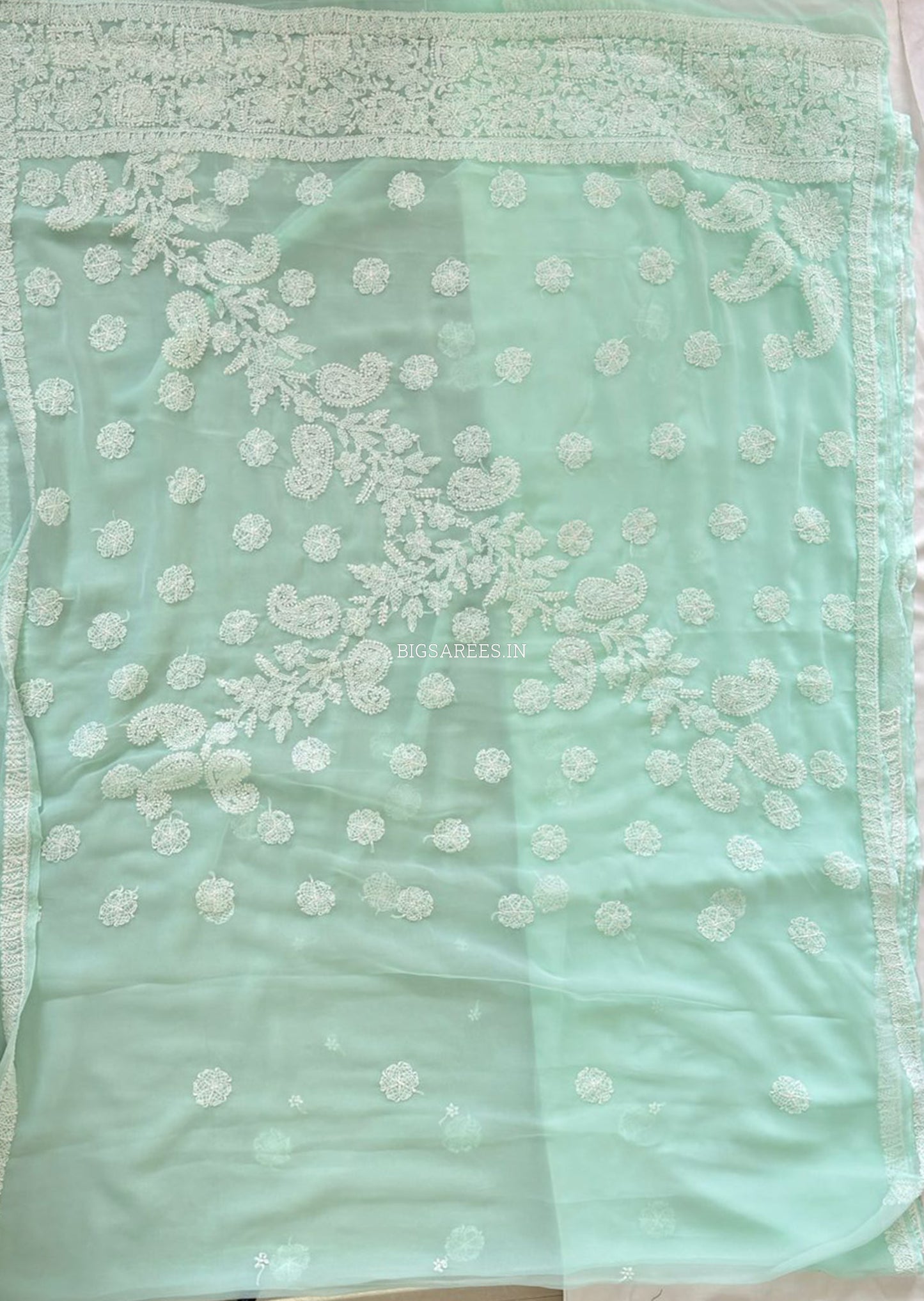 Chikankari Hand Embroidered Saree | Semi Georgette | Pastel Apple Green