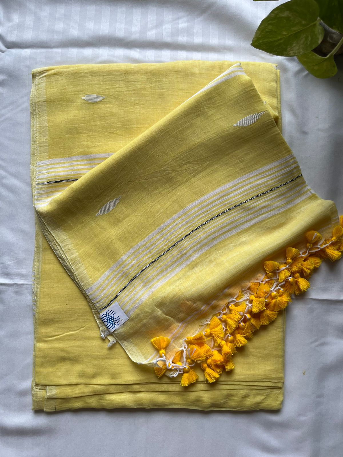 Mul Cotton handwoven Saree (Handloom Marked)