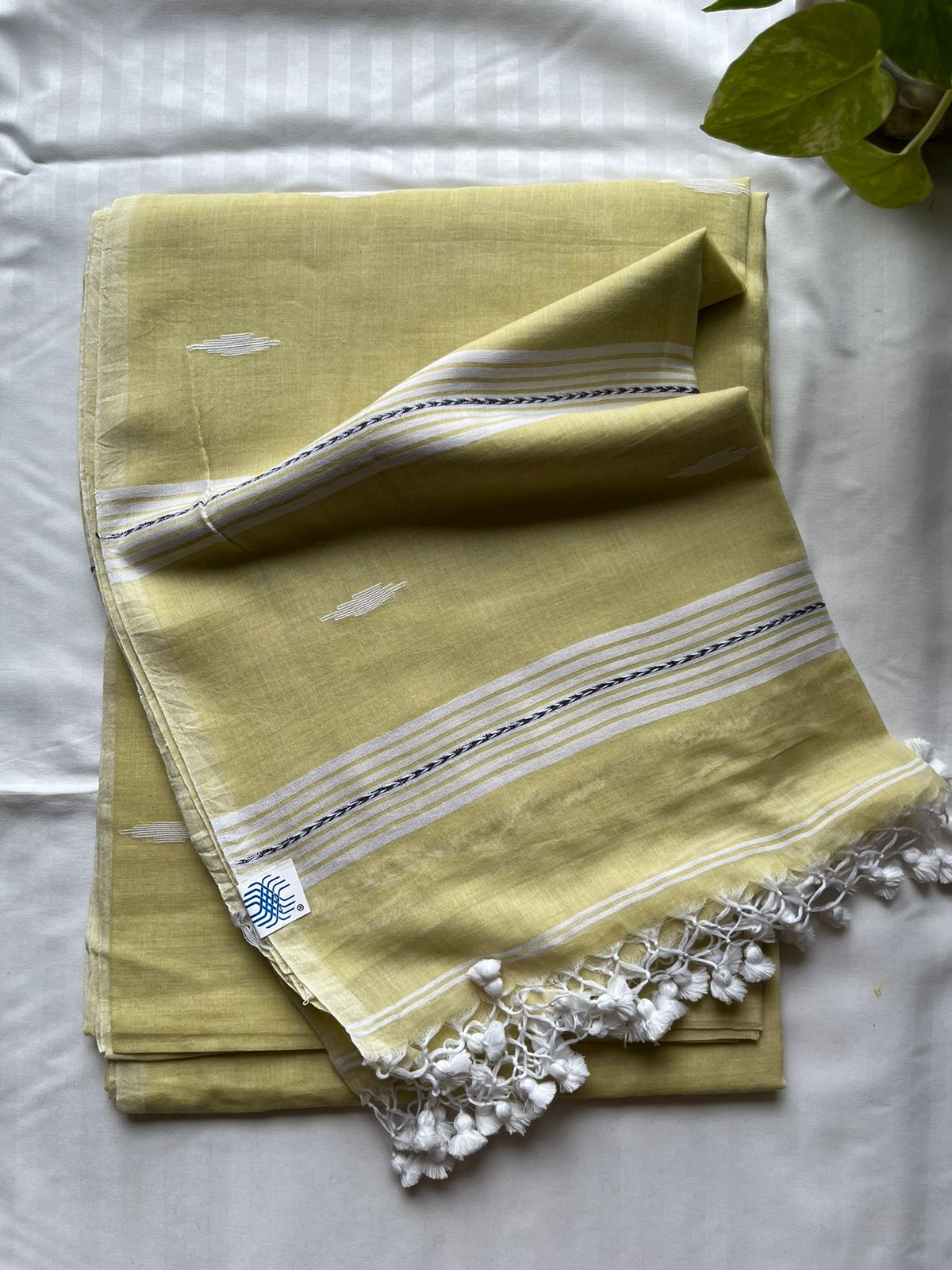 Mul Cotton handwoven Saree (Handloom Marked)