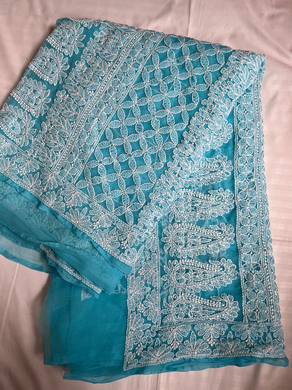 Sky Blue - White Georgette Chikankari Work Hand Embroidered Saree